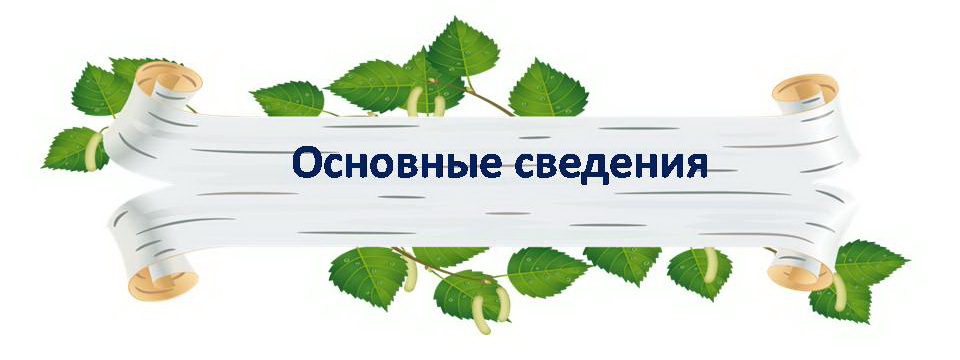 Платные образовательные сайты